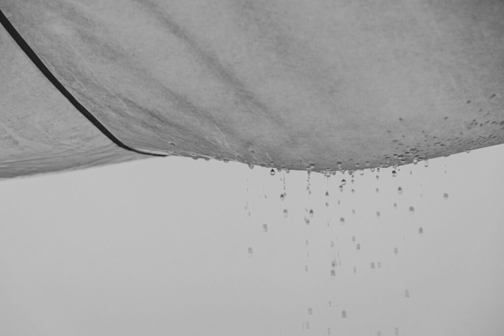 leaking roof with water damage